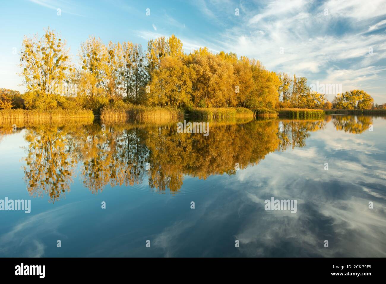 Autumn trees and clouds reflected in the lake water Stock Photo - Alamy
