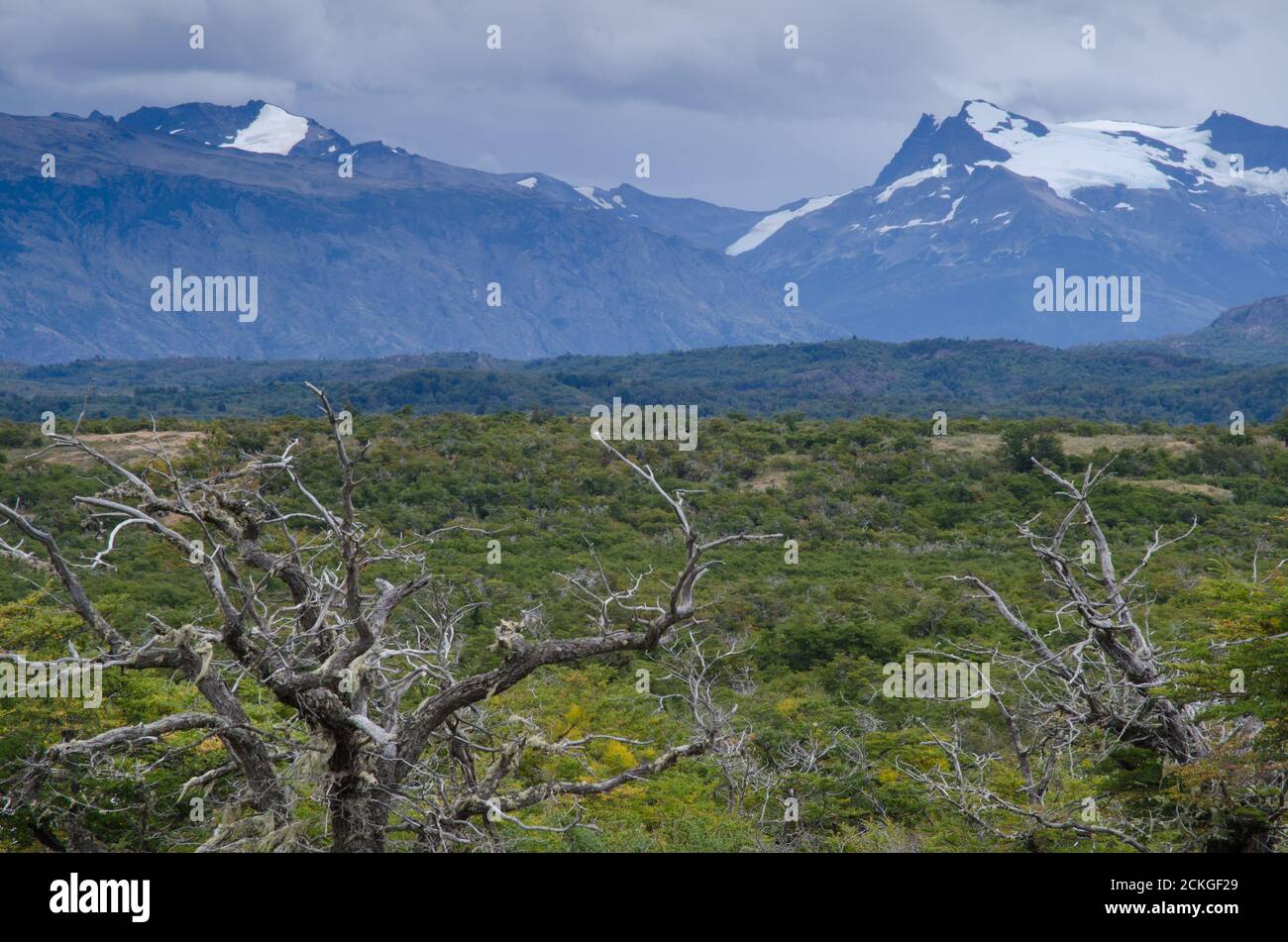Scrubland and mountains in the Chilean Patagonia. Ultima Esperanza Province. Magallanes and Chilean Antarctic Region. Chile. Stock Photo