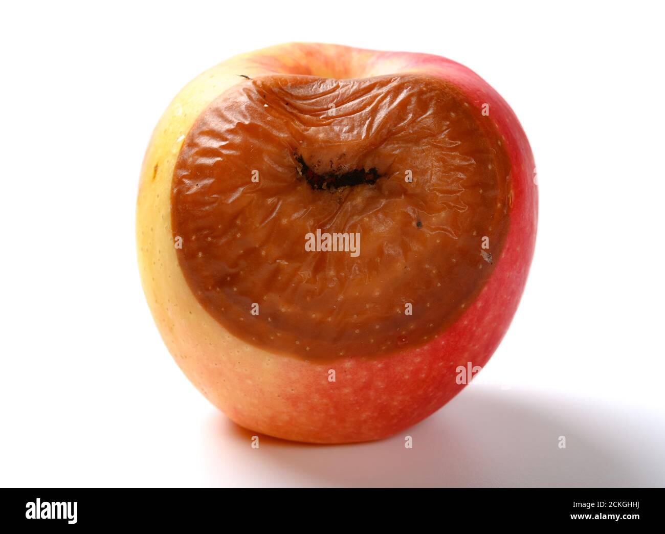 badly rotten apple on a white background Stock Photo - Alamy