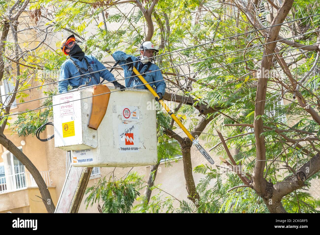 Electric company workers use power tools and an hydraulic lift to gain height advantage while cutting branches from a tree that may touch high voltage Stock Photo