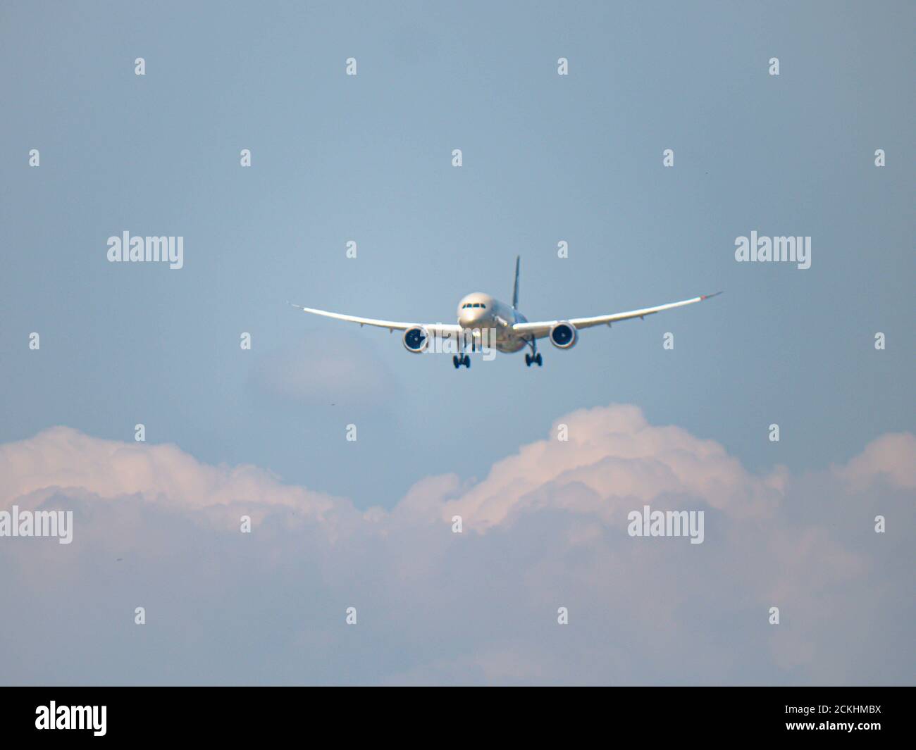 Etihad Sepcial livery Dreamliner landing at ZRH Stock Photo