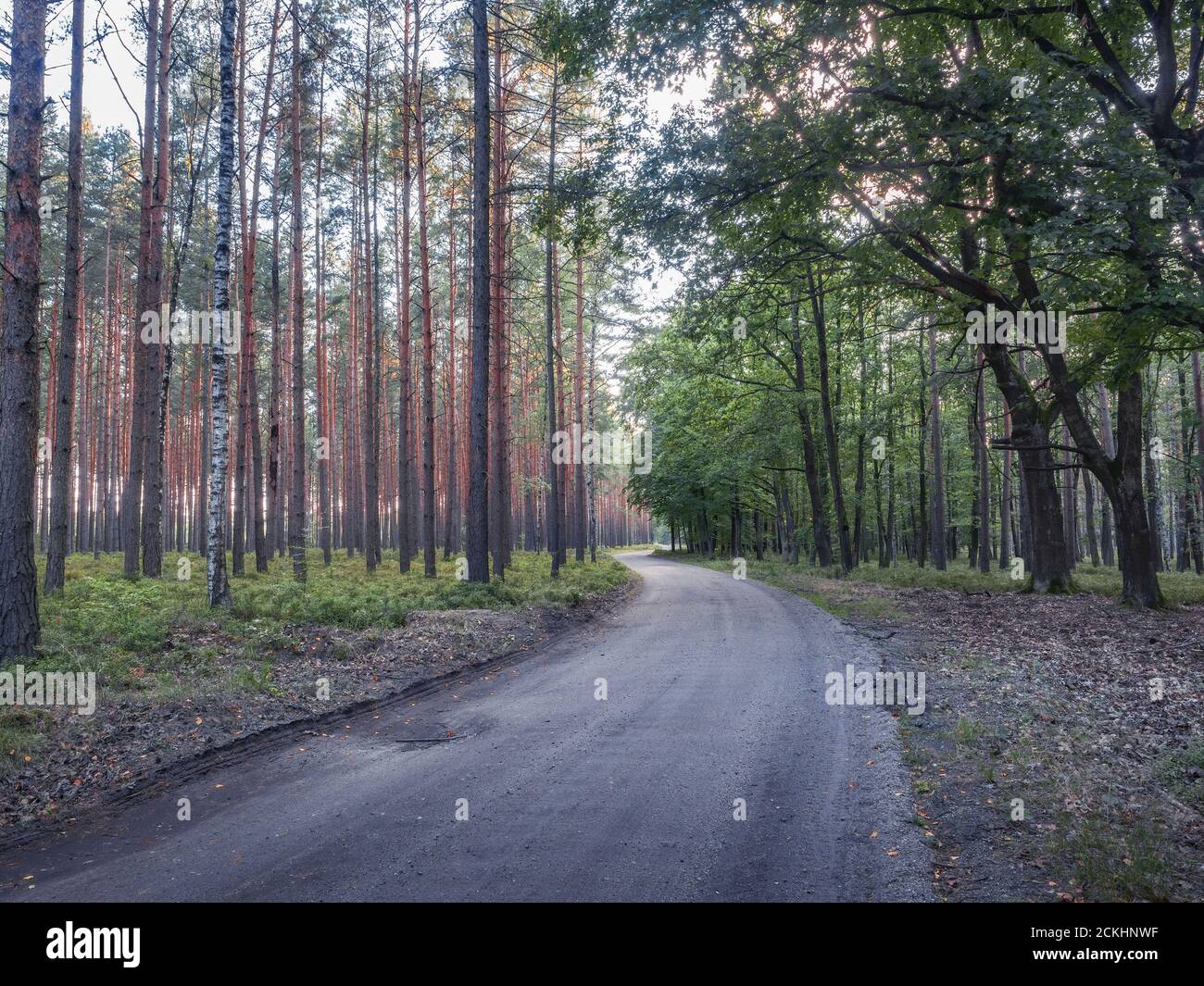 Bory Dolnoslaskie Hi res Stock Photography And Images Alamy
