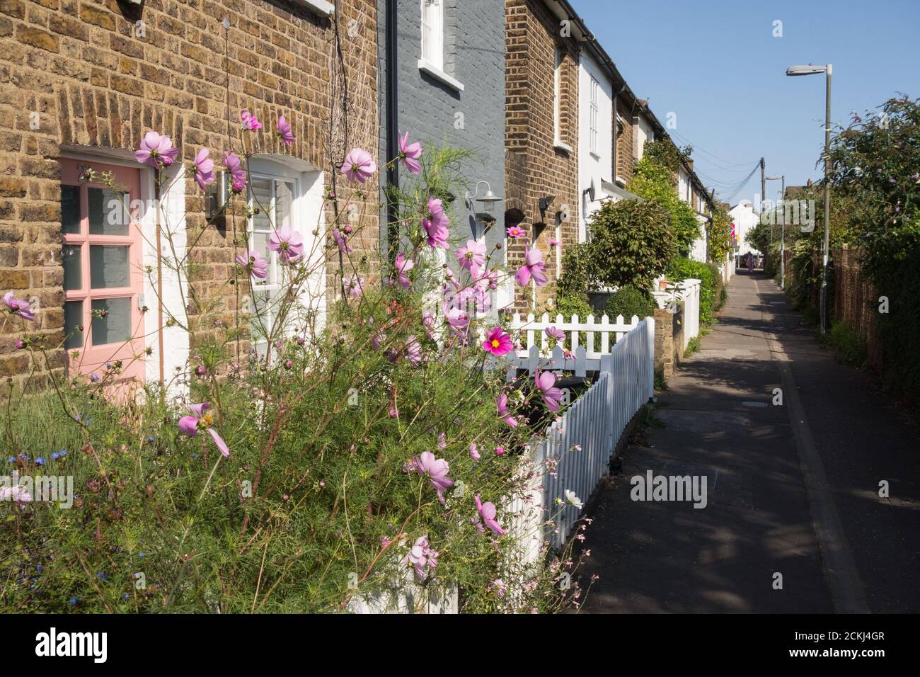 Little chelsea barnes hires stock photography and images Alamy