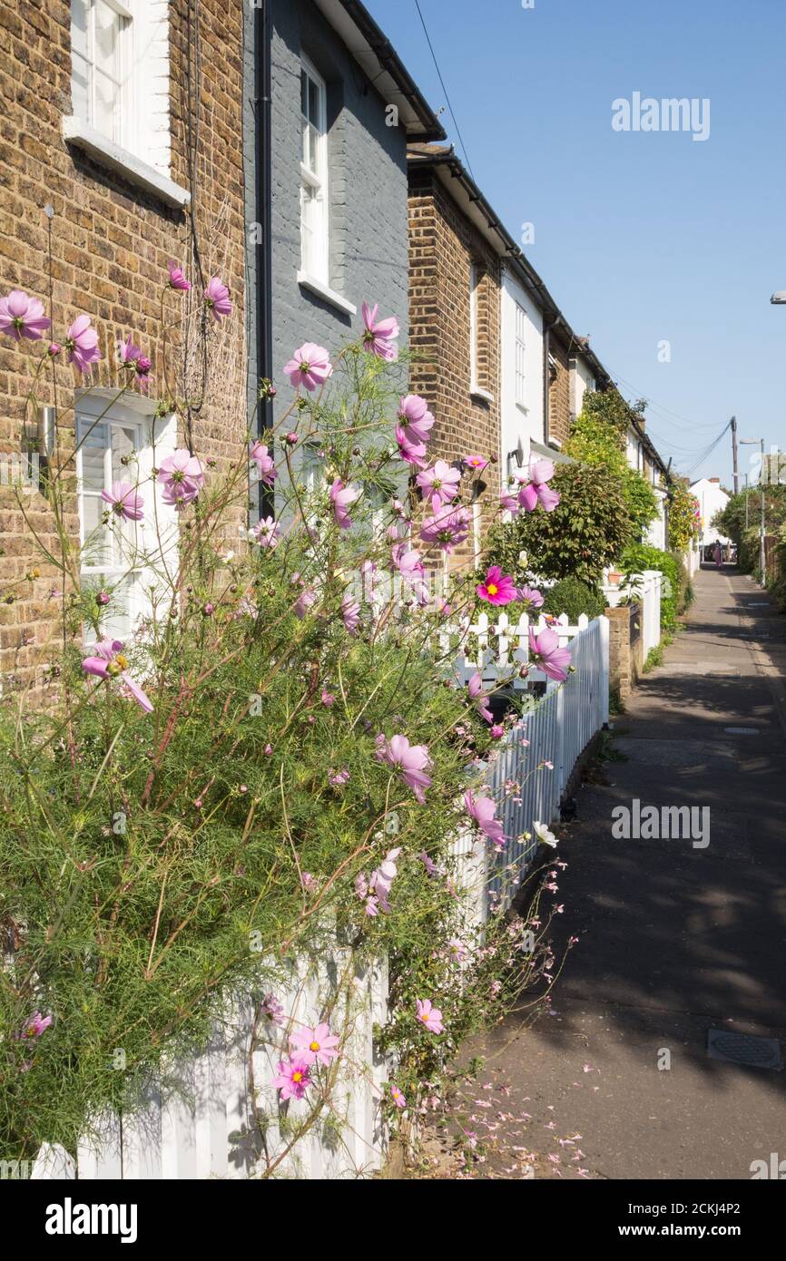 Little chelsea barnes hires stock photography and images Alamy