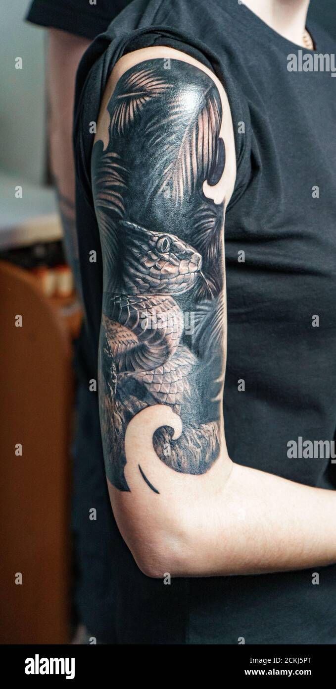 Black and Grey Skull and Snake Sleeve Temporary Tattoo Body Art Transfer  No. 10
