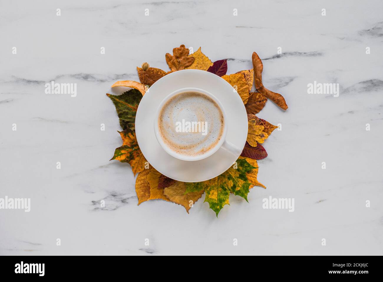 Cup of latte or cappuccino coffee with autumn leaves on marble background Stock Photo