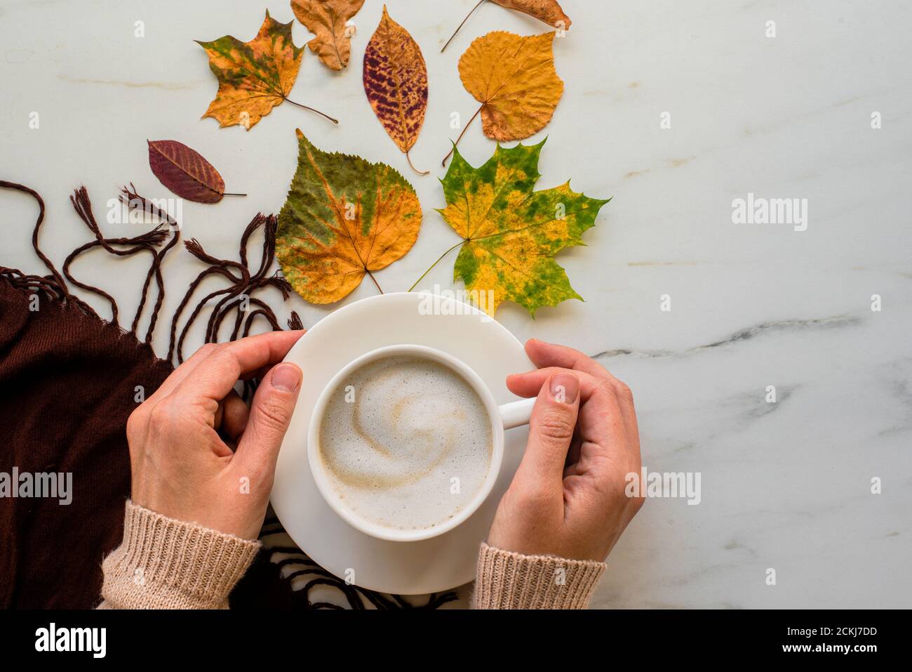 Cup of latte or cappuccino coffee with autumn leaves on marble background. Woman hands in beige sweater and scarf Stock Photo
