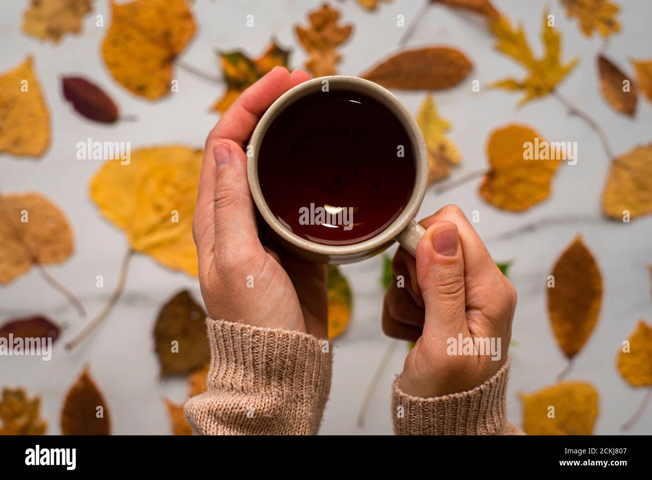 Cup of black tea with autumn leaves on marble background. Woman hands in beige sweater Stock Photo