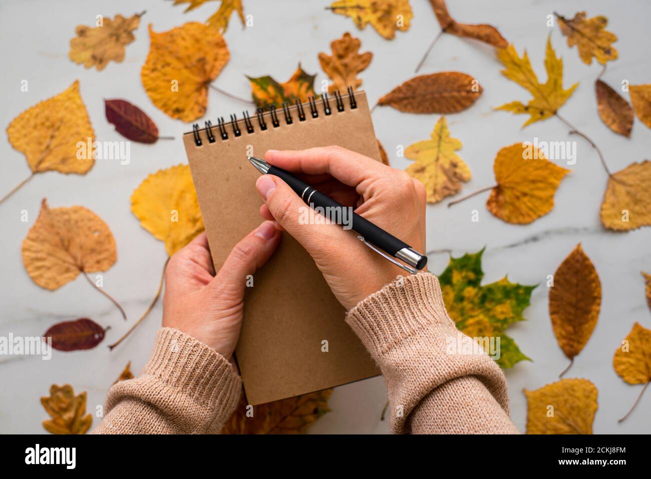 Notepad craft paper with autumn leaves and pen in woman hands in knitted sweater Stock Photo