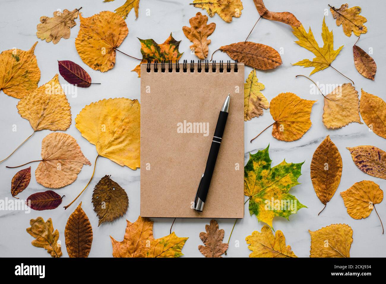 Notepad craft paper with autumn leaves and pen on marble Stock Photo