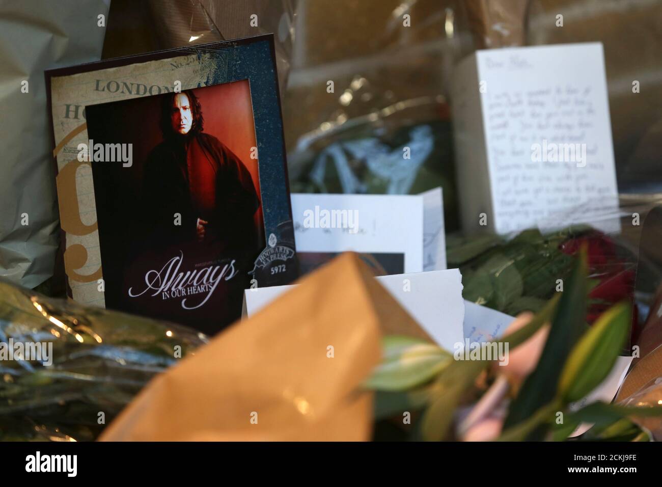actor alan rickman high resolution stock photography and images alamy