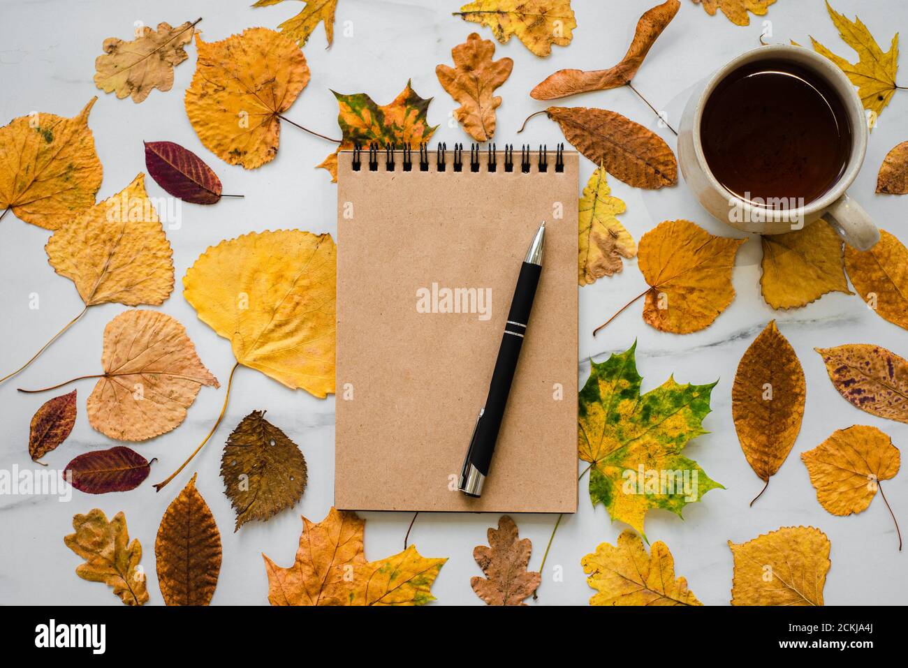 Notepad craft paper with autumn leaves and pen on marble. Cup of tea Stock Photo