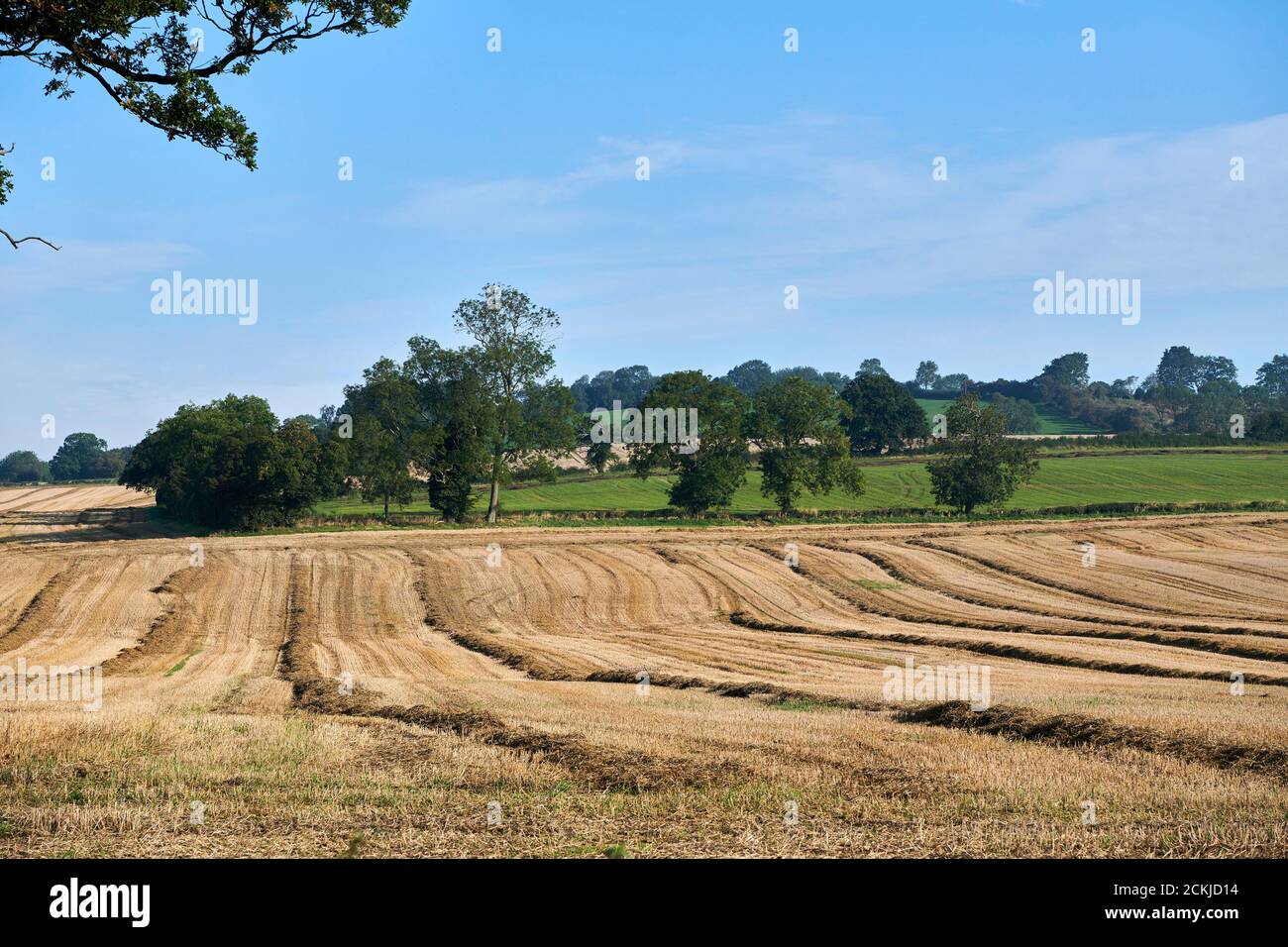 Rural scene near Coxwold in Rydale, North Yorkshire in the National Park, Northern England, UK Stock Photo