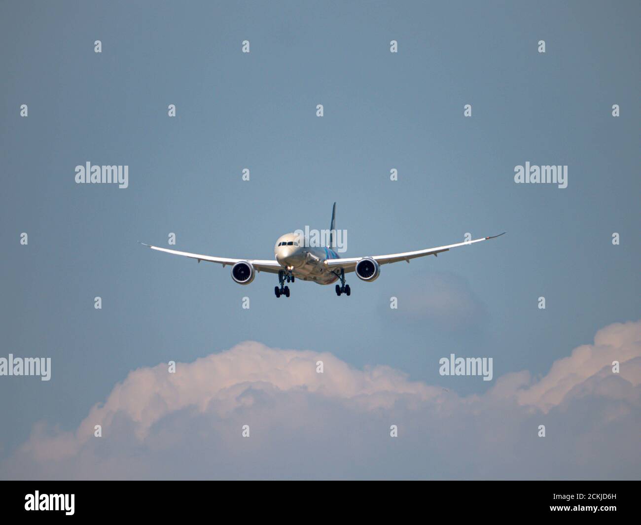 Etihad Dreamliner with Special livery landing at Zürich Airport CH Stock Photo