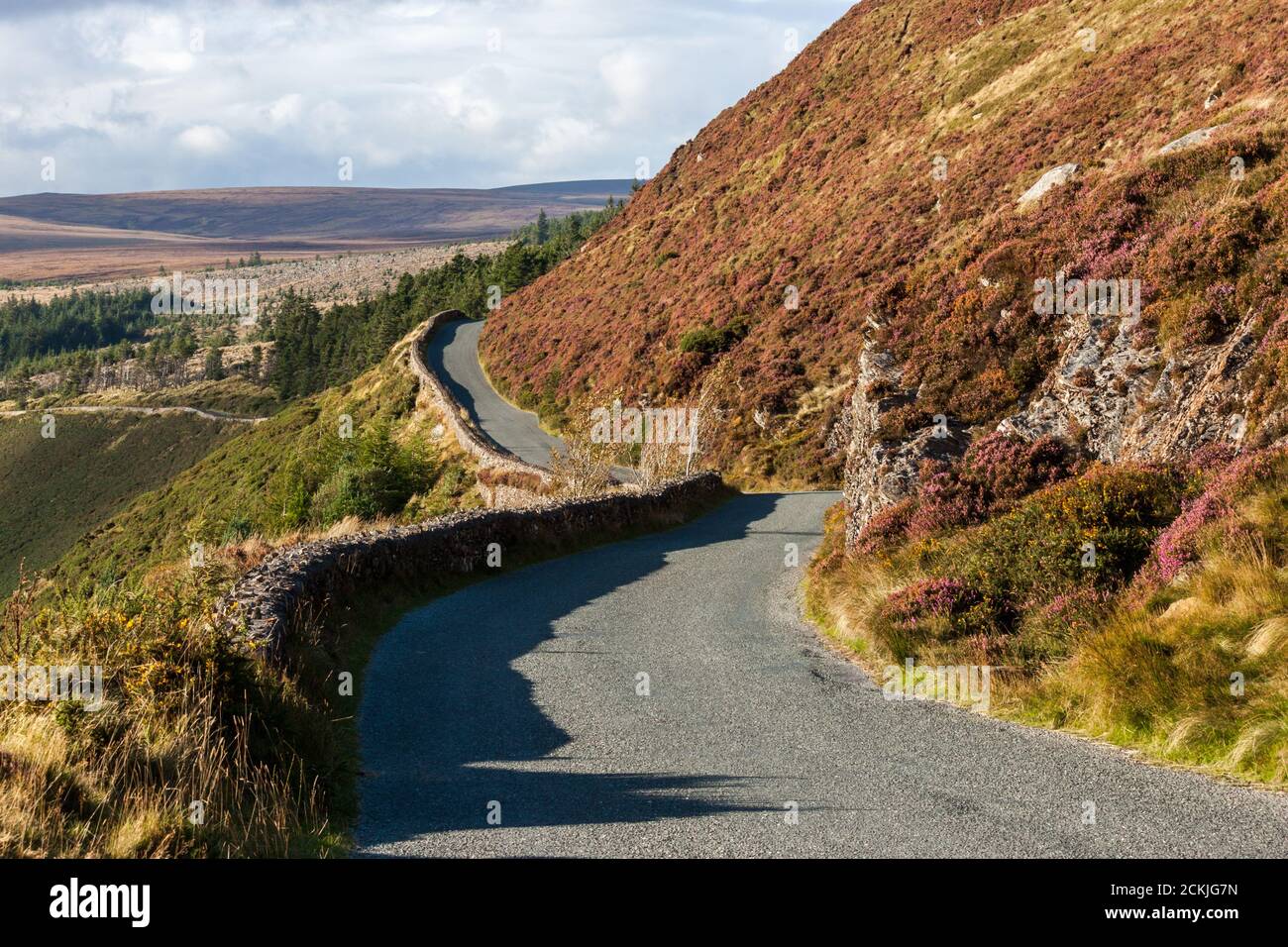 Heather road - winding road cutting through a sea of heather in the Wicklow Mountains National Park Stock Photo
