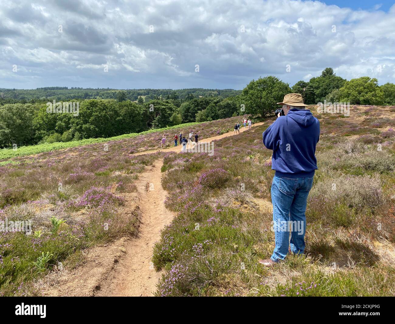 A photographer snaps a photo of the colourful Surrey heathland near Puttenham, Surrey, England. Stock Photo