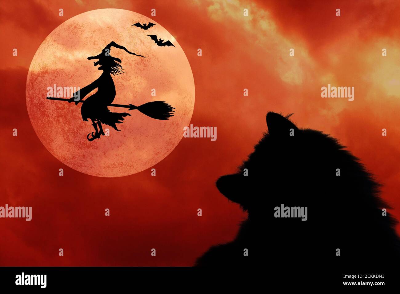 Halloween horizontal background with silhouettes of black cat, bats, full moon and smiling wicked witch flying on broomstick with hat with a wart on t Stock Photo