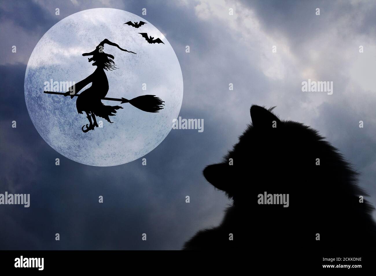 Halloween horizontal background with silhouettes of black cat, bats, full moon and smiling wicked witch flying on broomstick with hat with a wart on t Stock Photo