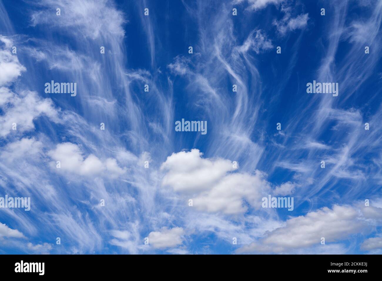 Cirrus clouds against a brilliant blue sky they are the highest forming of the main cloud types composed entirely of ice crystals Stock Photo