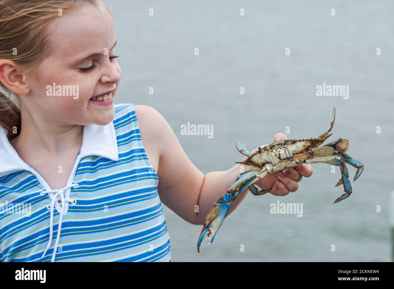 Virginia Newport News near James River Bridge,crabbing recreation water girl girls female caught crab,looks looking holds holding kids children Stock Photo