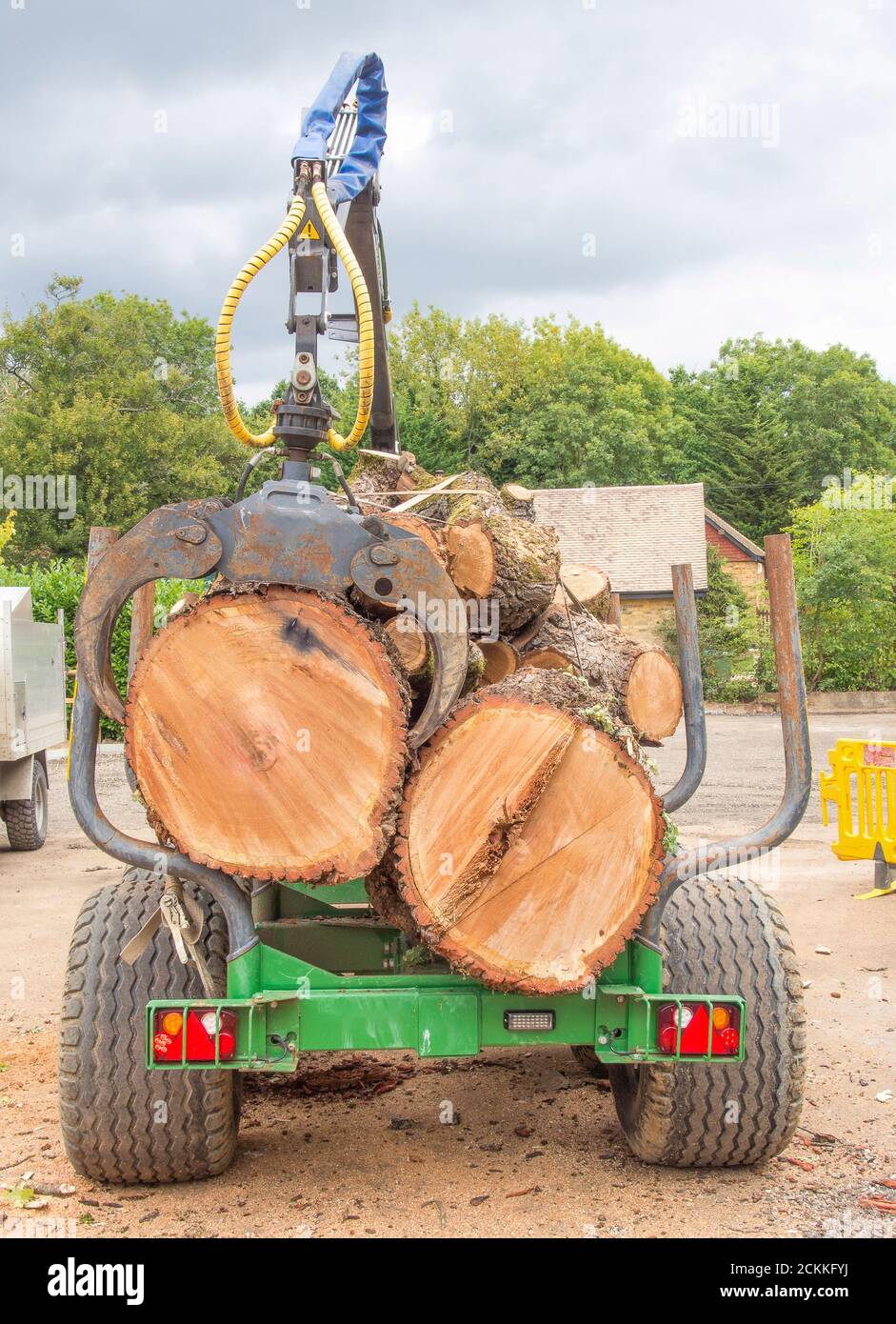 Heavy trailer fully loaded with large tree trunks. Stock Photo