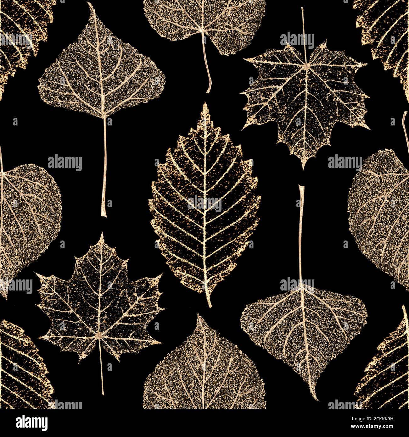 Linden leaf skeleton hi-res stock photography and images - Alamy