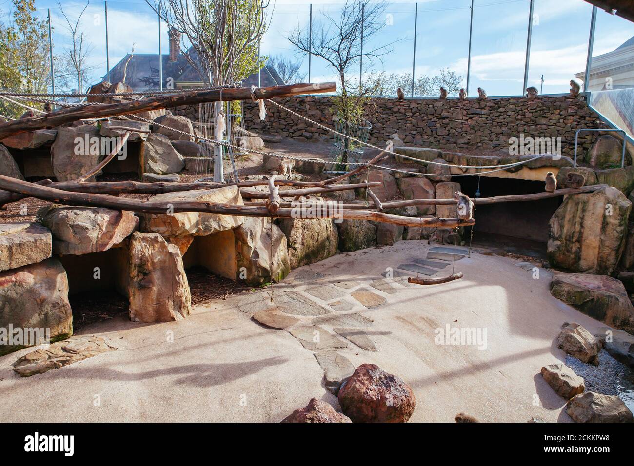 Launceston City Park Monkey Enclosure Tasmania Australia Stock Photo