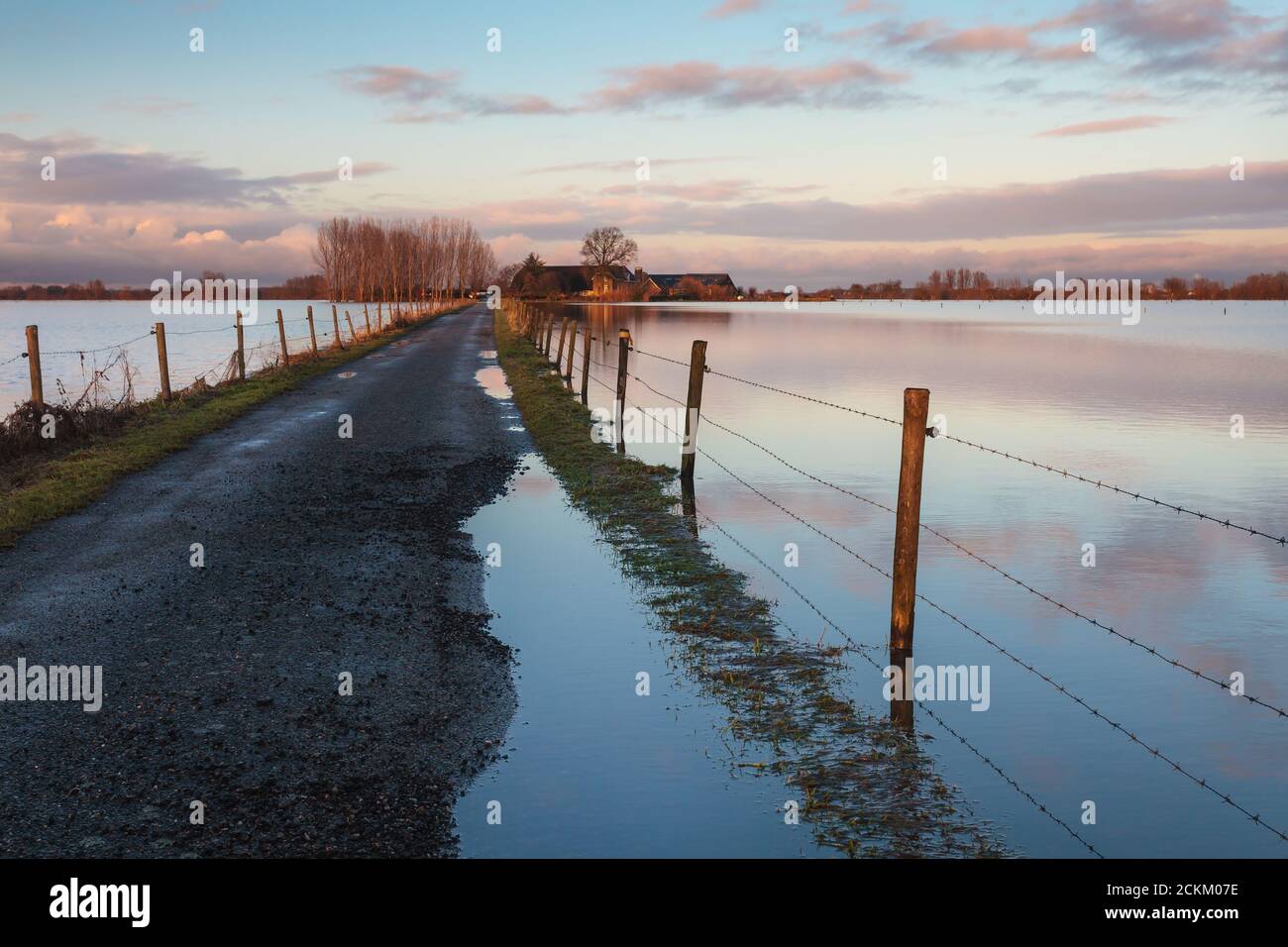 Driveway to a Dutch farm is flooded by water from the river IJssel in The Netherlands Stock Photo