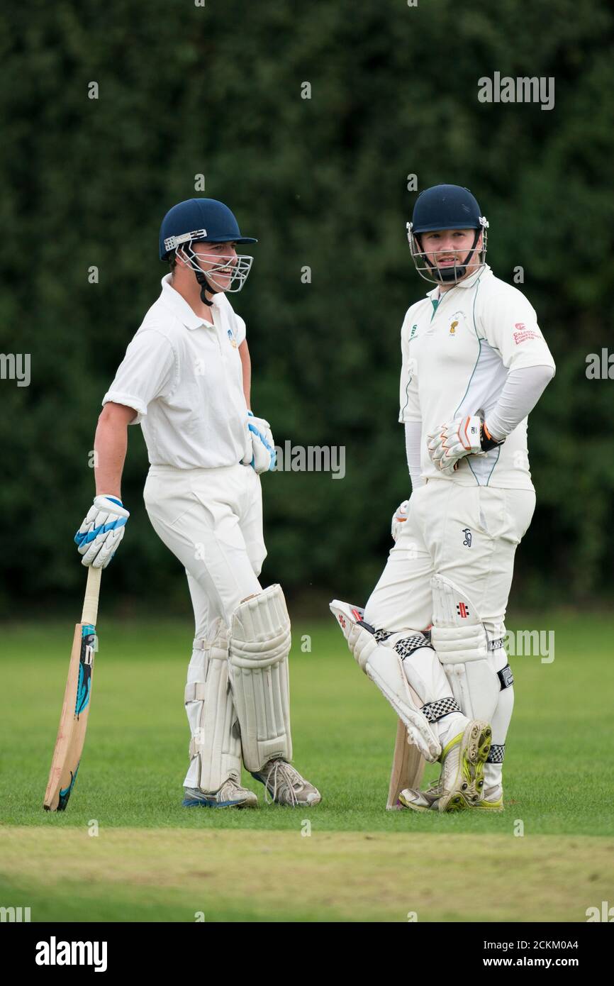 Cricket batsmen talking Stock Photo Alamy
