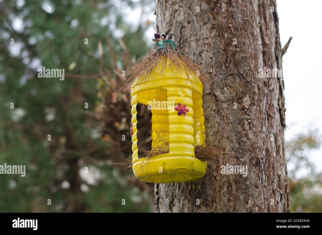 Yellow birdhouse made of plastic bottle covered with dry branches hanging  on a tree in autumn Stock Photo - Alamy, image size:1300x951
