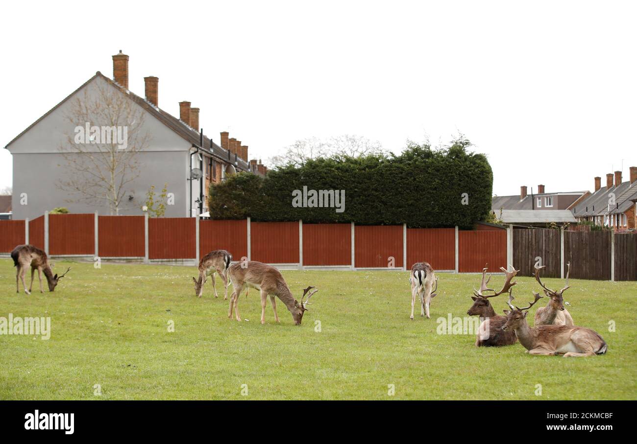 Harold hill romford hires stock photography and images Alamy