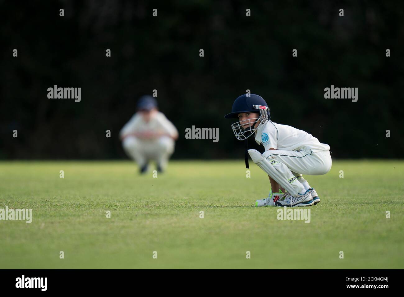 Young boy wicket keeping Stock Photo
