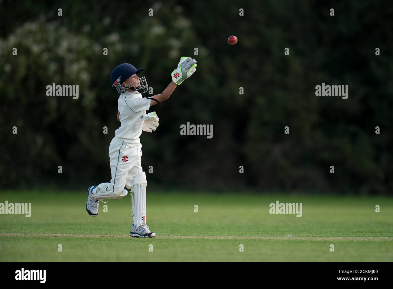 Young boy wicket keeping Stock Photo