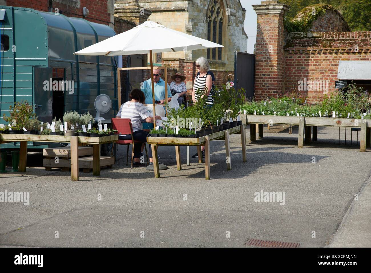 People at an outdoor plant sales area, England, UK, GB Stock Photo Alamy
