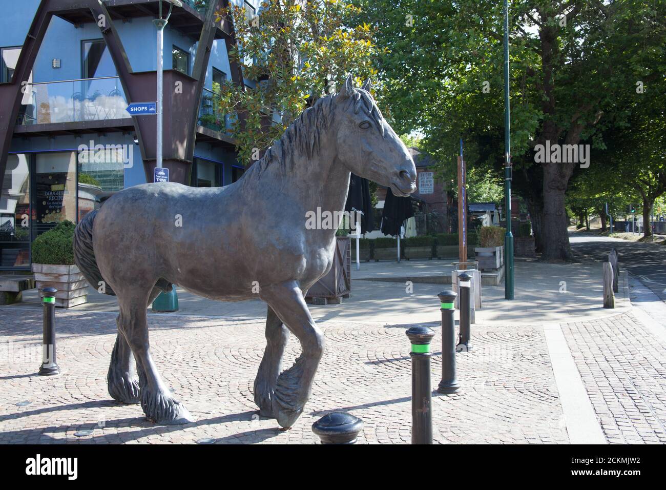 An equine statue found at Brewery Square in Dorchester by Shirley Pace in the UK. Taken on the 20th July 2020. Stock Photo