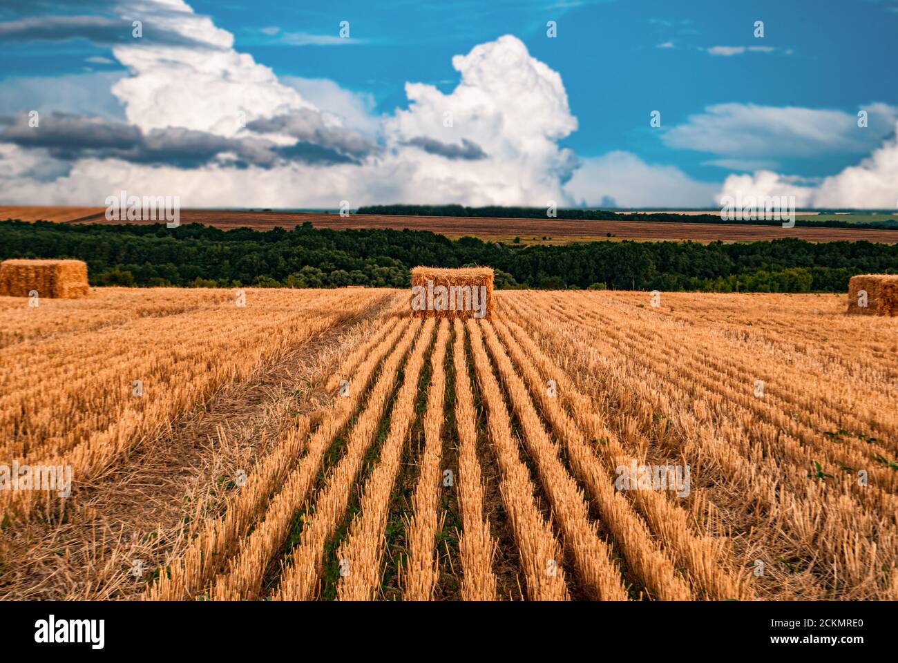 Hay spread hires stock photography and images Alamy