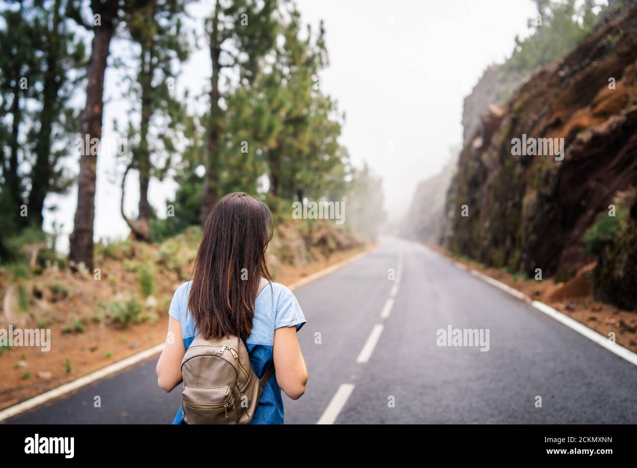 Rear view of long hair brunette girl walking on the foggy road in the ...