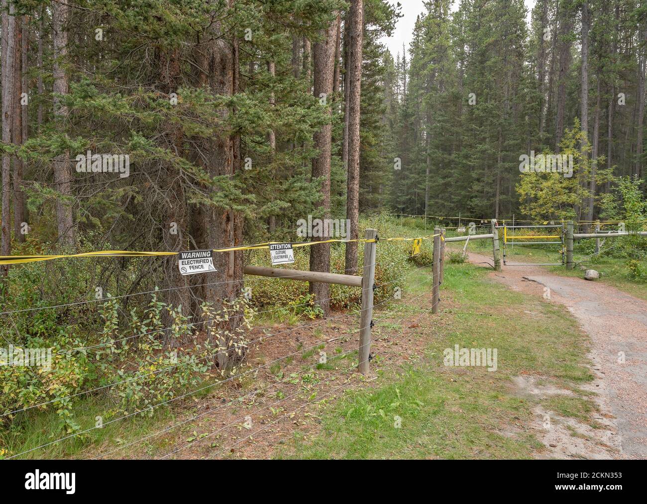 Electric bear fence and gate at Lake Louise, Alberta, Canada Stock Photo