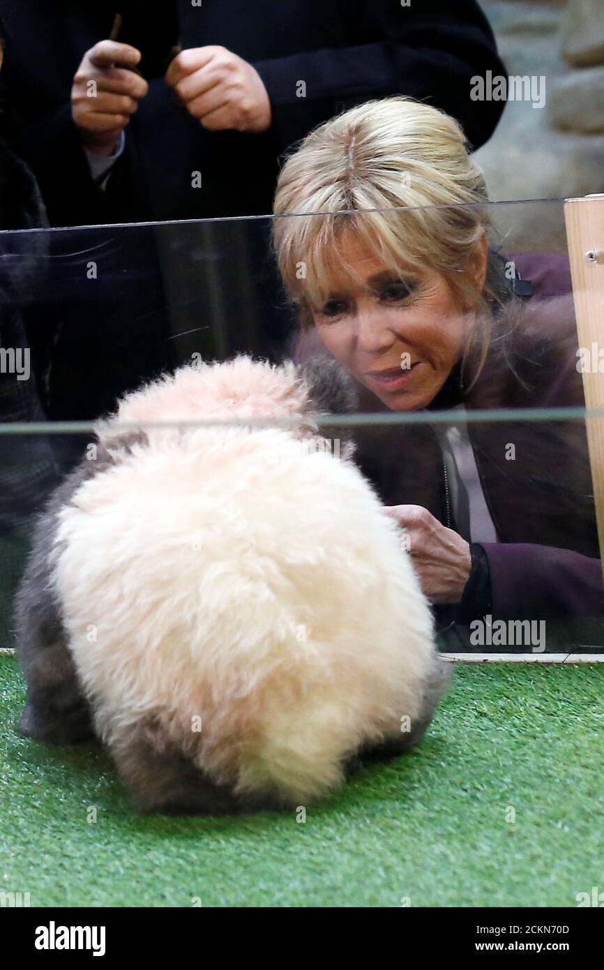 Brigitte Macron, wife of the French president, attends the naming ceremony of the panda born at the Beauval Zoo in Saint-Aignan-sur-Cher, France, December 4, 2017. The 4-month-old cub is called Yuan Meng, which means “the realization of a wish” or “accomplishment of a dream.”   REUTERS/Thibault Camus/Pool Stock Photo