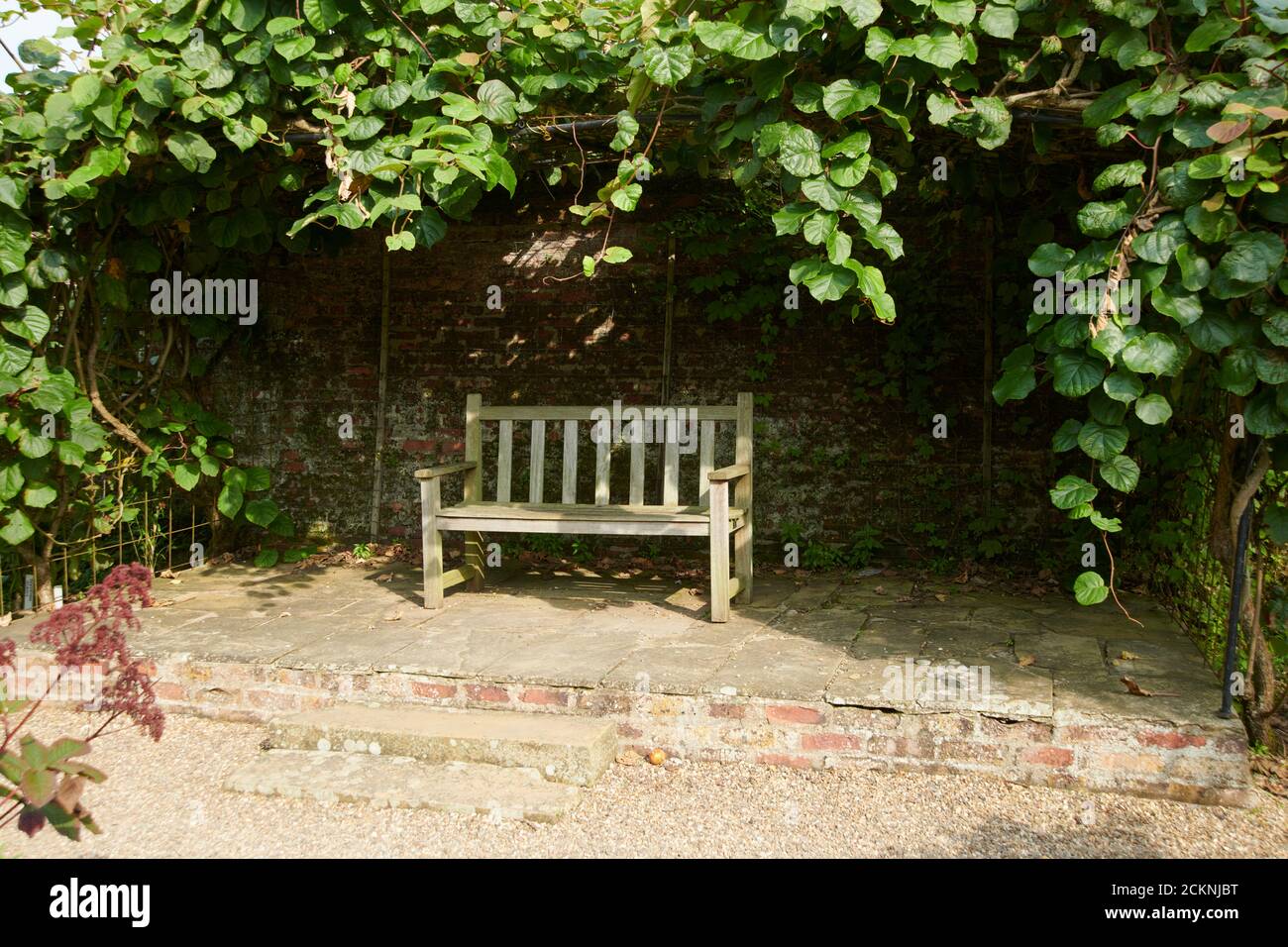 wooden garden bench in the cool shade 