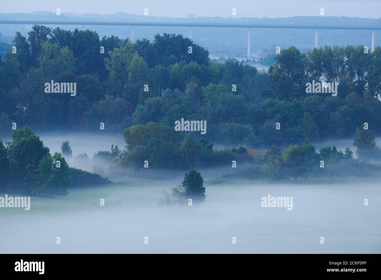 Blick von einer Aussichtsplattform in die Saarner Aue frueh morgens zur 'Blauen Stunde'. Stock Photo