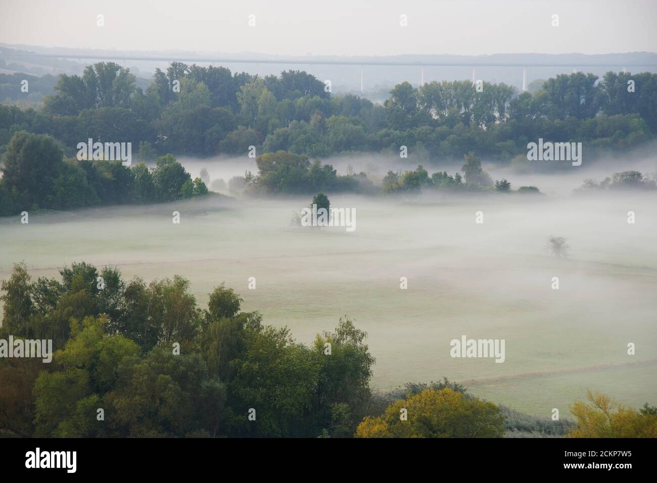 Blick von einer Aussichtsplattform in die Saarner Aue frueh morgens zur 'Blauen Stunde'. Stock Photo