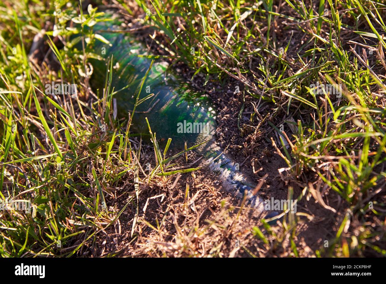 Glass Bottle Thrown Out In Nature And Buried In The Ground ...