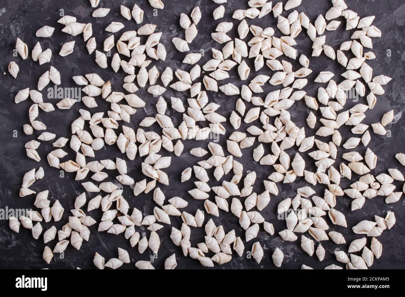 White small seashells pattern on a black concrete background, top view, flat lay. Stock Photo