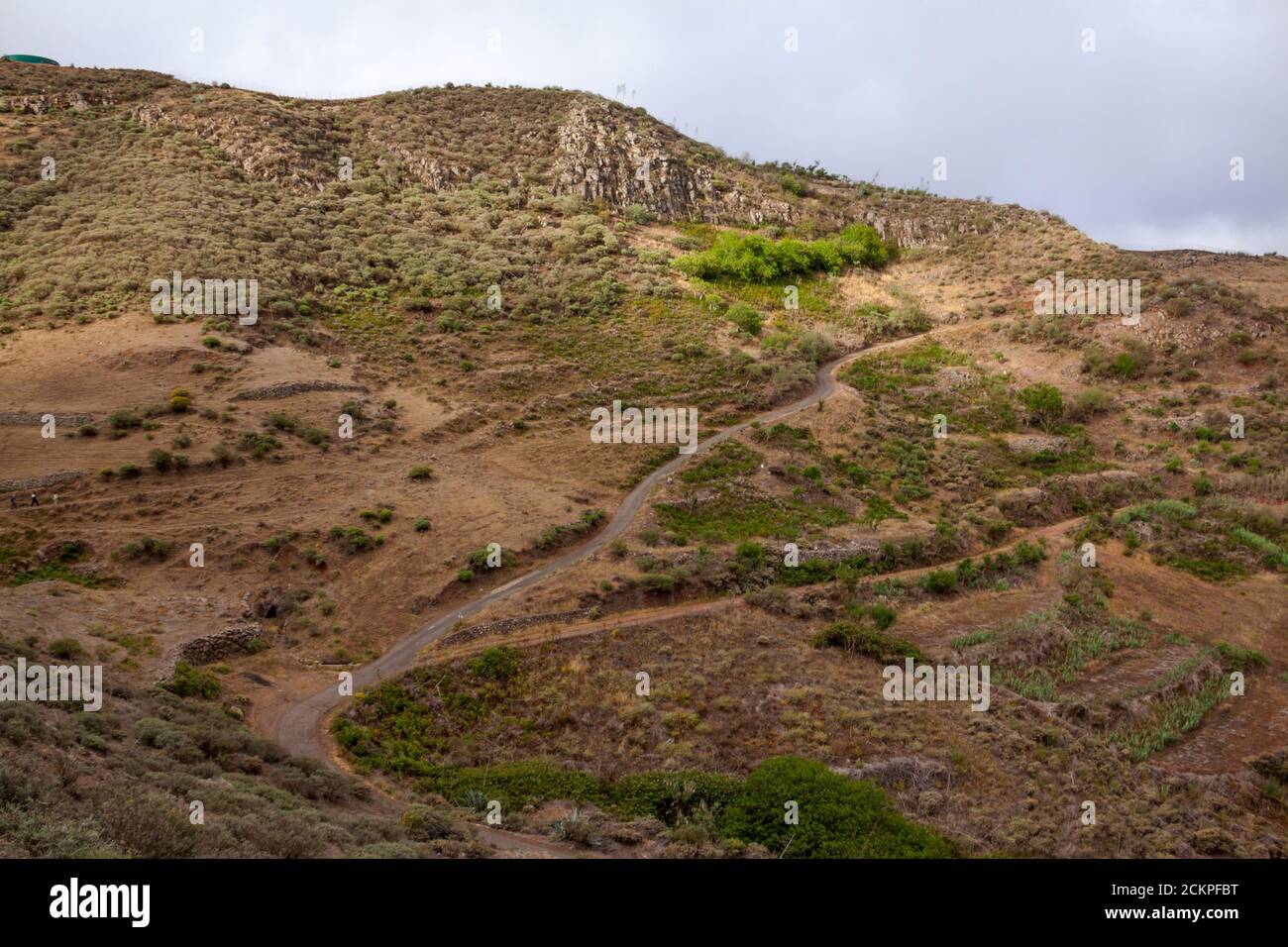 Landscape of Vega Palominos, Gran Canaria - Stock Image