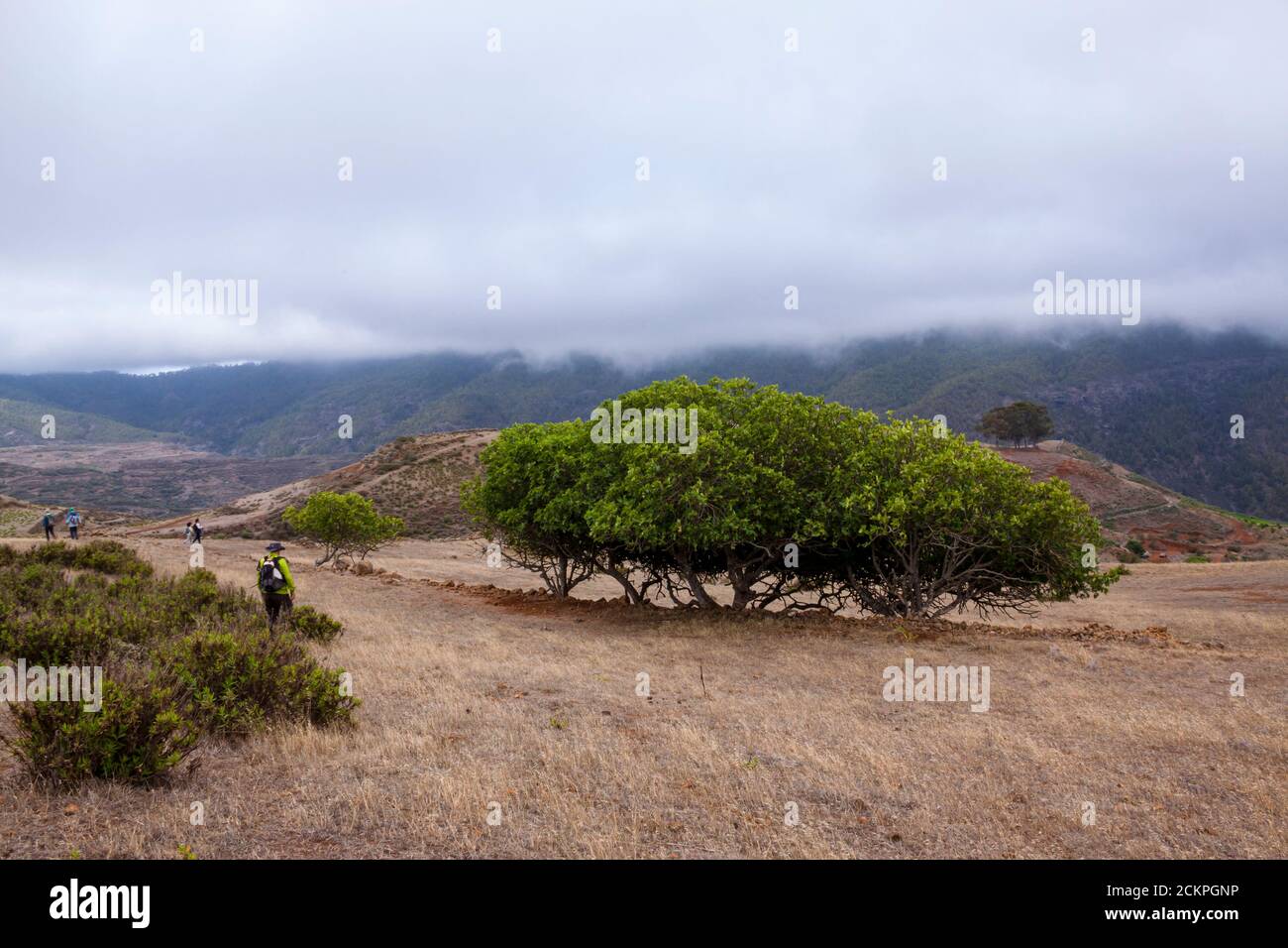 Era El Llano del Cordobés, Gran Canaria - Stock Image
