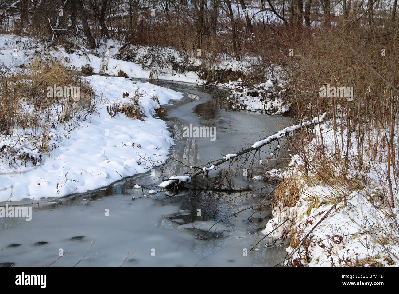 Frozen creek in early winter. Stock Photo
