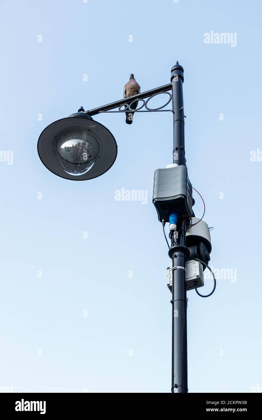 A pigeon perched on a lamp post fitted with ANPR number plate recognition surveillance cameras in a restricted residential area of North London, UK Stock Photo