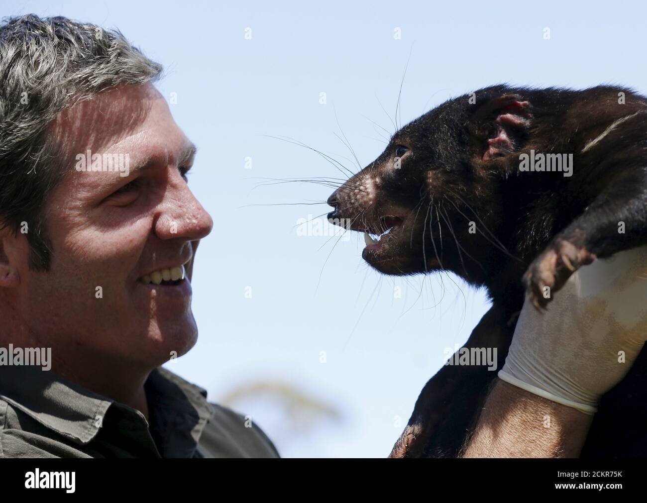She devil island hi-res stock photography and images - Alamy She devil island hi-res stock photography and images - Alamy