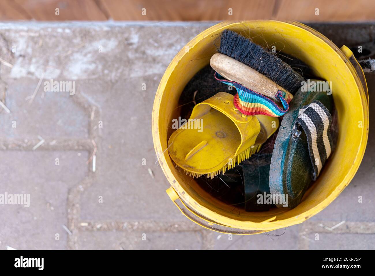 Bucket full of horse brushes. Curry comb, dandy brush, comb and body brush. Grooming kit for horses and ponies at the stable. Horse cleaning concept. Stock Photo